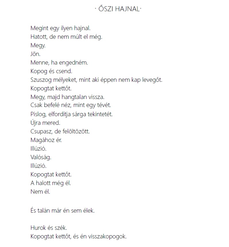 Elérhetővé vált a Minden és Semmi Pt. 1., ami egy személyes élményekből építkező narratív hibrid-líra keretében kísérli meg rekonstruálni a Z generáció mentális közegét oszihajnal1